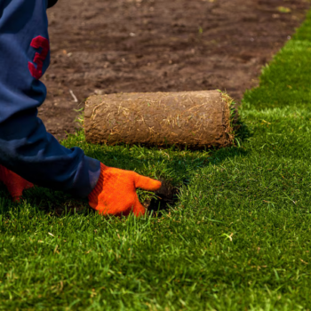 Instalación de Pasto Sintético